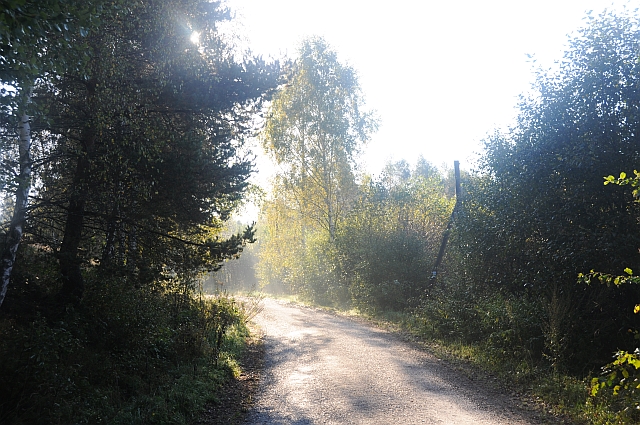 http://www.CKarl.de/13/1197.jpg